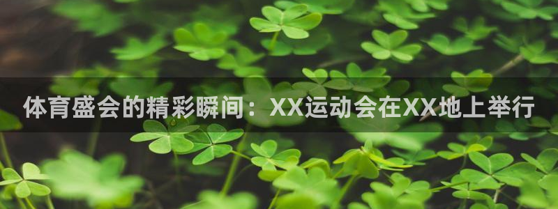 海南千亿国际官网下载：体育盛会的精彩瞬间：XX运动会