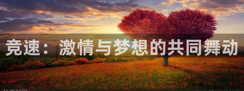 注册千亿国际官方正版app：竞速：激情与梦想的共同舞
