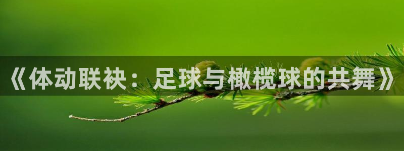千亿国际官方正版app娱乐网站：《体动联袂：足球与橄