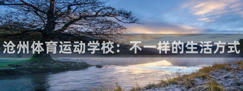 千亿国际官方正版app集团logo：沧州体育运动学校