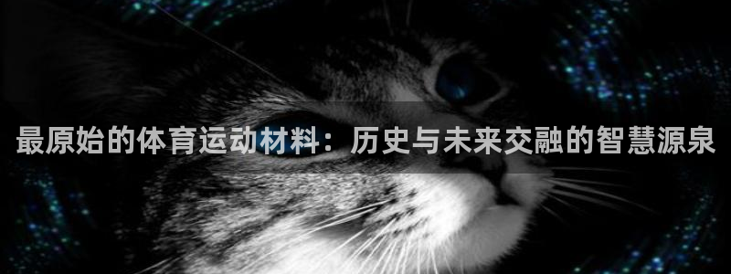 千亿国际官网下载招商电话号码查询是多少：最原始的体育