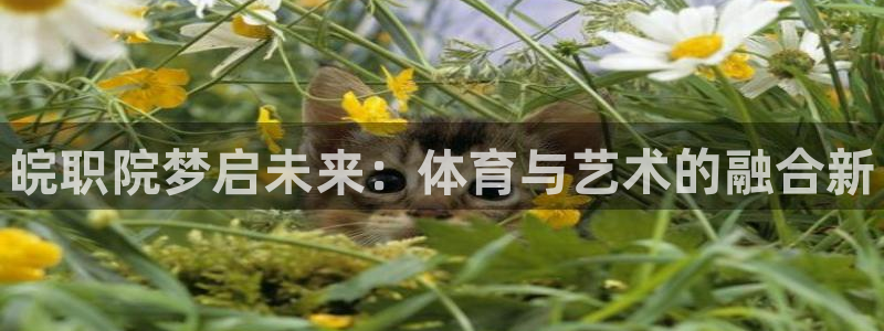 千亿国际官方正版app集团官网首页：皖职院梦启未来：