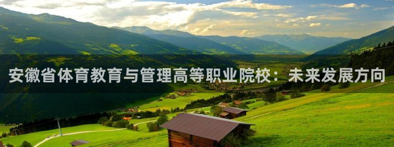 海南千亿国际官网下载发展怎么样：安徽省体育教育与管理