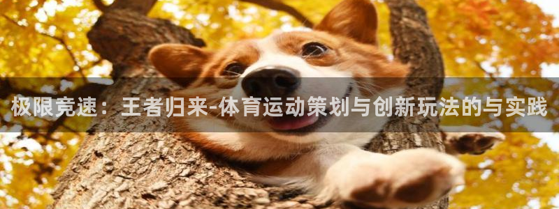 千亿国际官网下载注册：极限竞速：王者归来-体育运动策划与创新