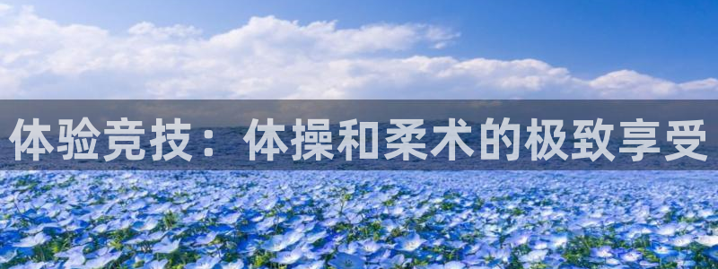 千亿国际官网下载平台注册要钱吗：体验竞技：体操和柔术