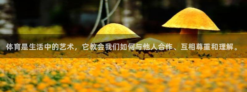 千亿国际官网下载平台假的吗是真的吗：体育是生活中的艺术，它教