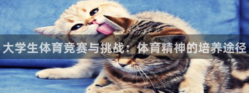 千亿国际官网下载平台是正规平台吗知乎：大学生体育竞赛