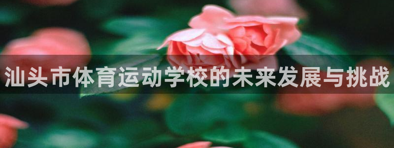 千亿国际官网下载注册：汕头市体育运动学校的未来发展与挑战