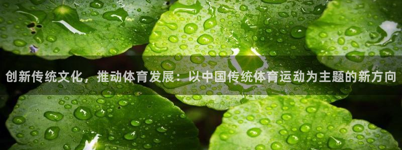千亿国际官网下载平台注册要钱吗安全吗：创新传统文化，推动体育