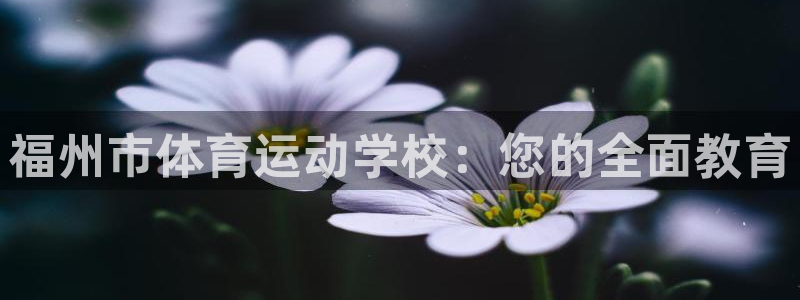 千亿国际官网下载招商电话号码查询