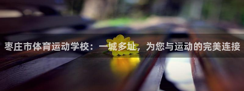 千亿国际官网下载招商电话是多少啊：枣庄市体育运动学校