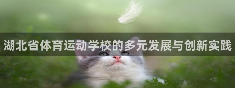千亿国际官方正版app娱乐平台