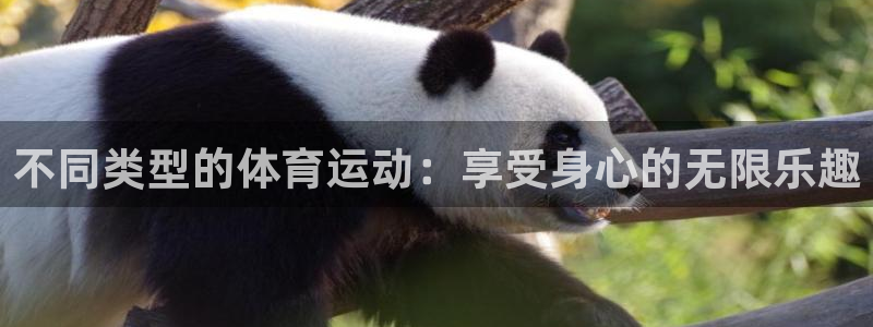 千亿国际官网下载平台注册要钱吗是真的吗：不同类型的体