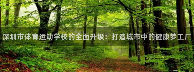 千亿国际官方正版app娱乐代理怎么样：深圳市体育运动