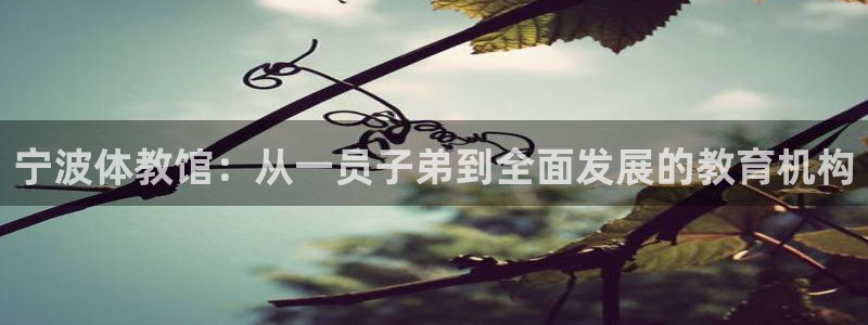 千亿国际官网下载平台注册要钱吗安全吗：宁波体教馆：从