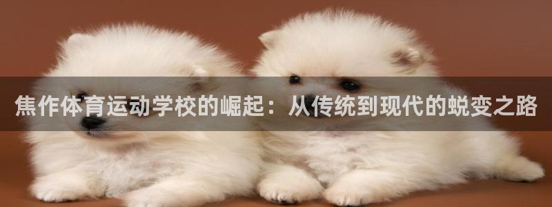 千亿国际官网下载平台是正规平台吗安全吗：焦作体育运动学校的崛