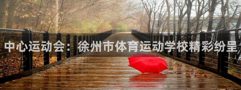 千亿国际官网下载招商电话是多少啊：中心运动会：徐州市体育运动