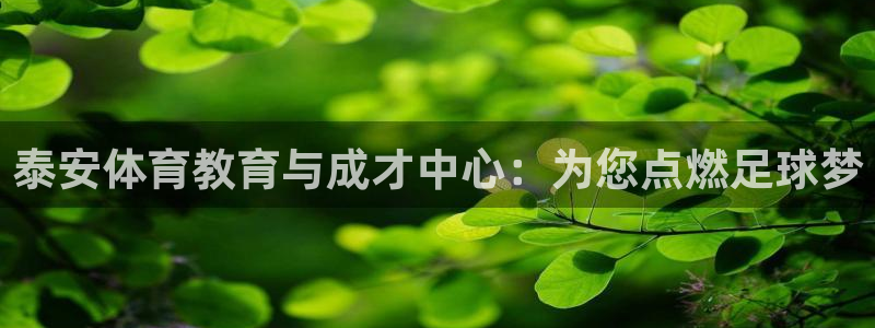 千亿国际官方正版app新能源：泰安体育教育与成才中心：为您点