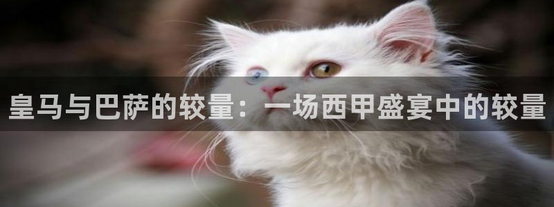 搜球直播：皇马与巴萨的较量：一场西甲盛宴中的较量