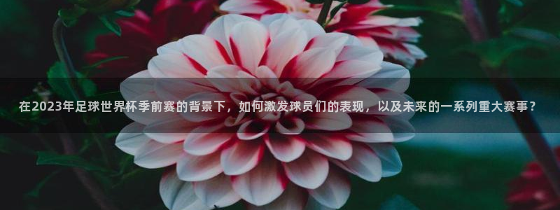 搜球吧在线直播nba：在2023年足球世界杯季前赛的背景下，如何激发球员们的表现，以及未来的一系列重大赛事？