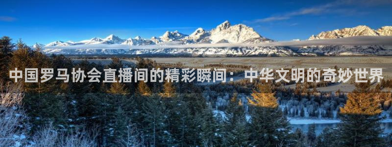 搜球吧直播nba中文直播：中国罗马协会直播间的精彩瞬间：中华文明的奇妙世界