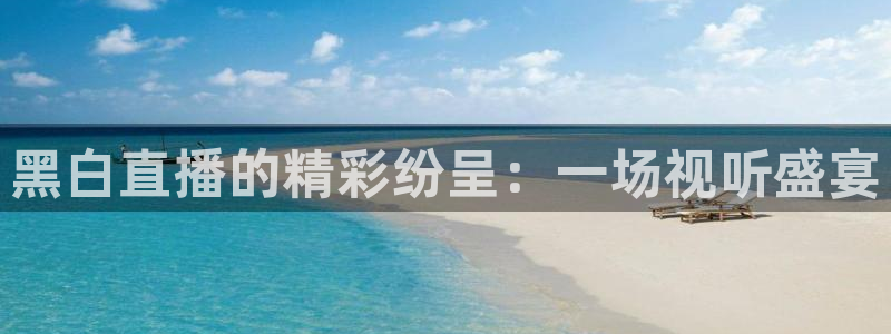 搜球吧在线直播免费观看：黑白直播的精彩纷呈：一场视听盛宴