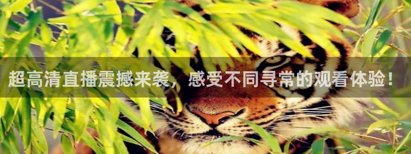 搜球吧直播：超高清直播震撼来袭，感受不同寻常的观看体验！