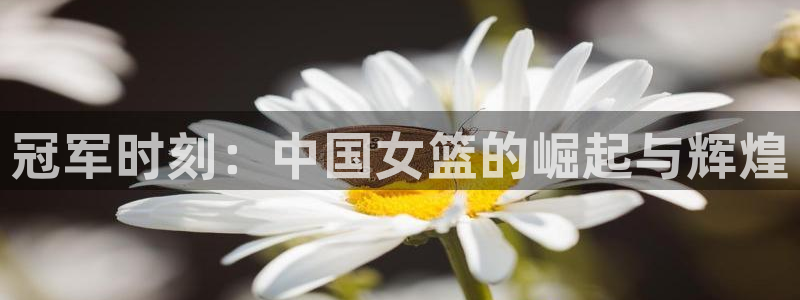 搜球吧 直播：冠军时刻：中国女篮的崛起与辉煌