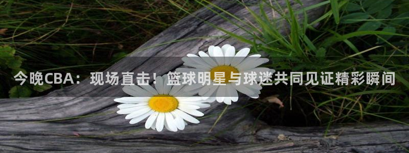 搜球体育直播app：今晚CBA：现场直击！篮球明星与球迷共同见证精彩瞬间