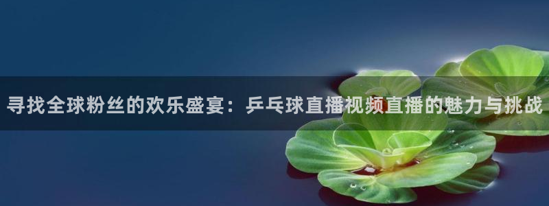 搜球体育下载：寻找全球粉丝的欢乐盛宴：乒乓球直播视频直播的魅力与挑战