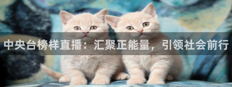 搜球体育直播：中央台榜样直播：汇聚正能量，引领社会前行