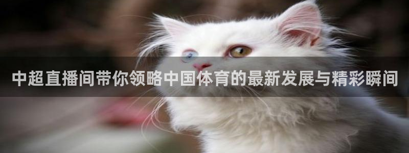搜球吧直播nba：中超直播间带你领略中国体育的最新发展与精彩瞬间